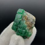 IMG_7341